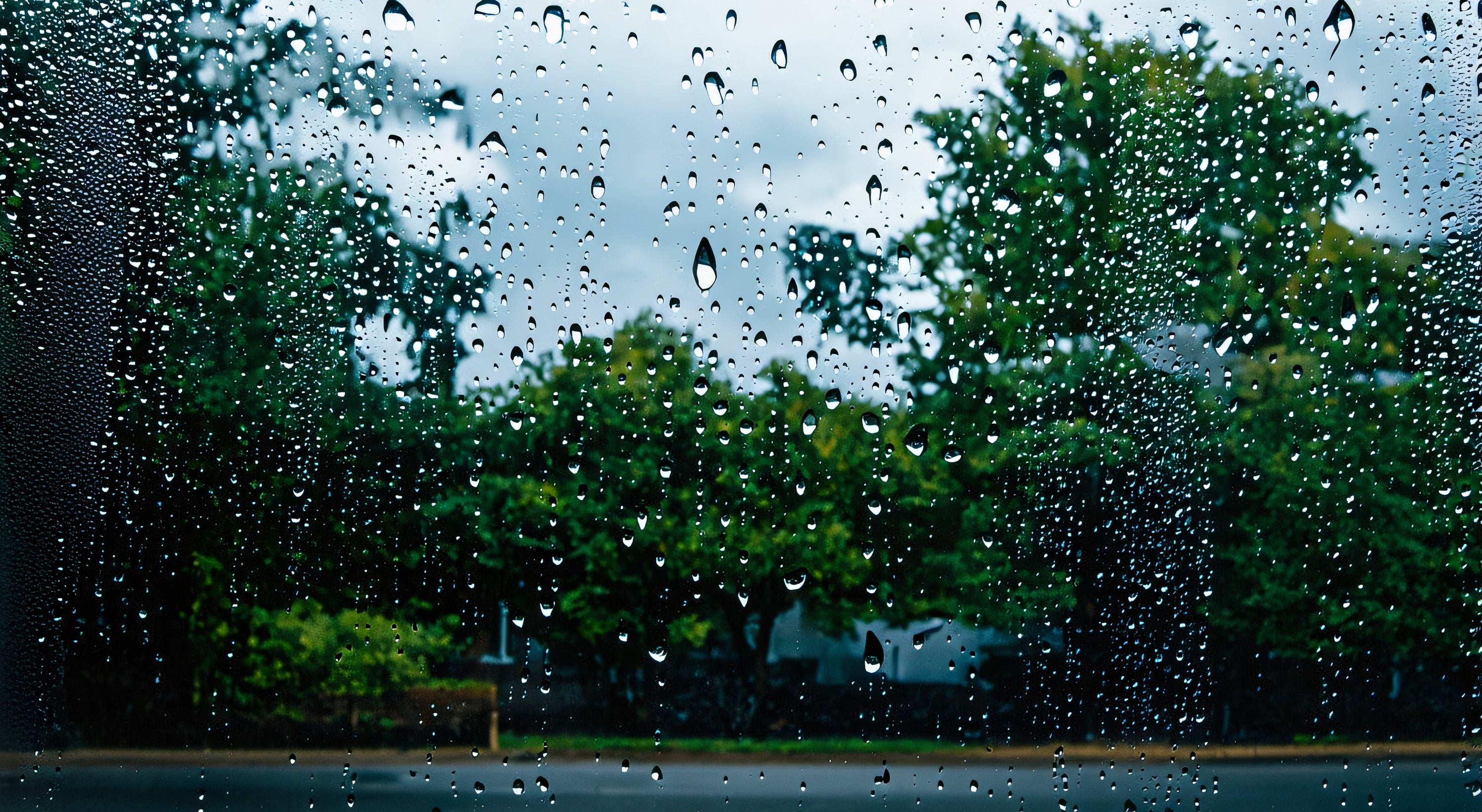 5 Activities for a Rainy Day in Connemara