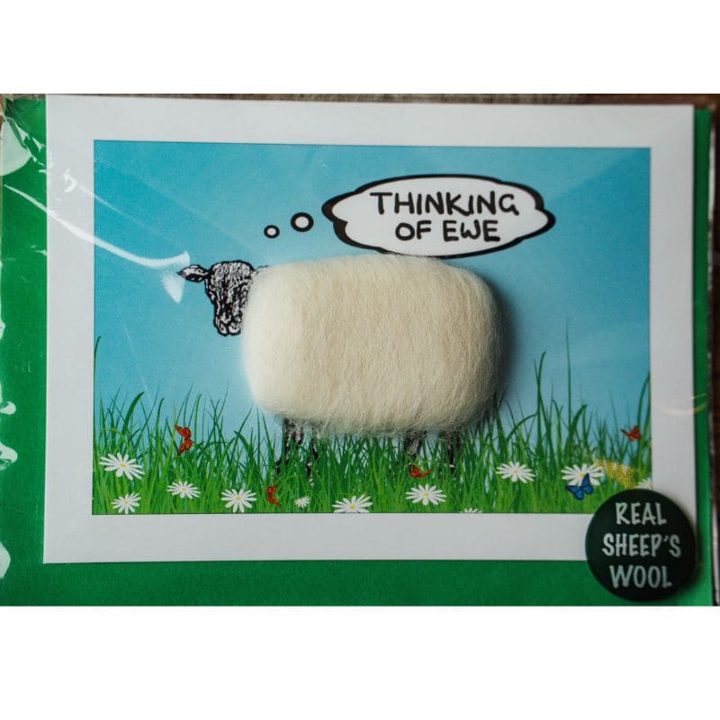 Thinking Of Ewe