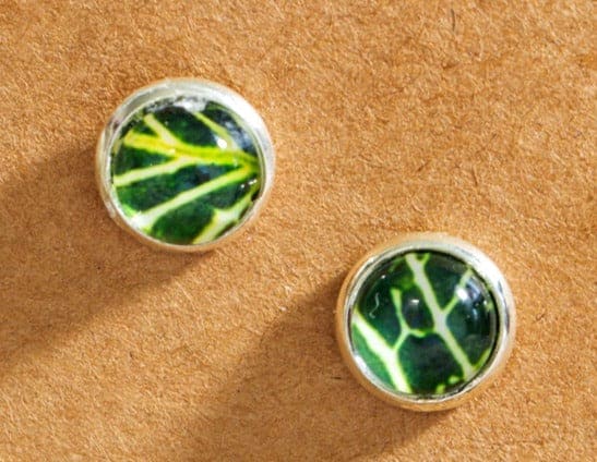 Planted By the Waters Earrings - Botanical Studs Fittonia Plant Leaves