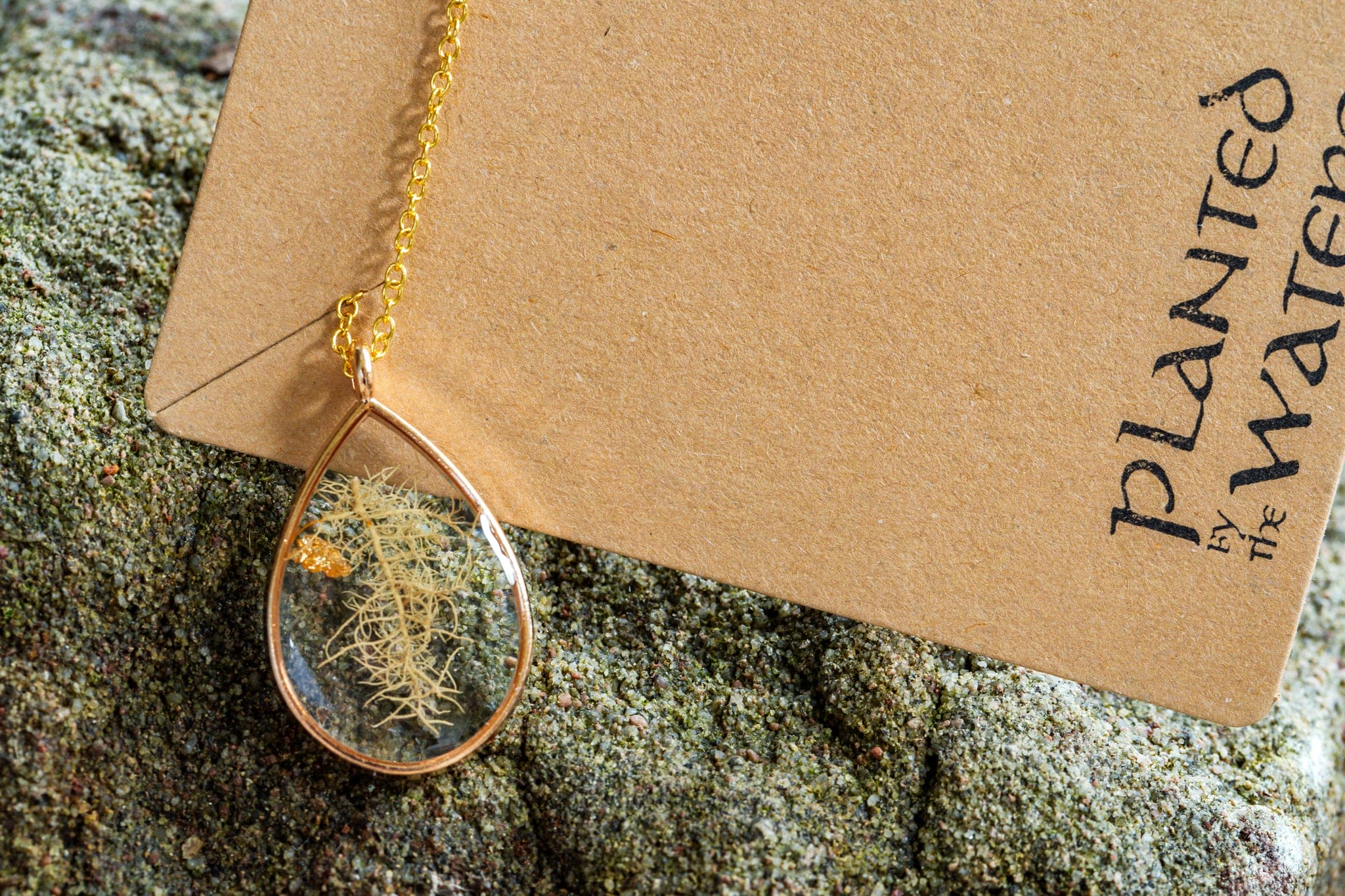 Planted By the Waters Necklace - Gold Lichen