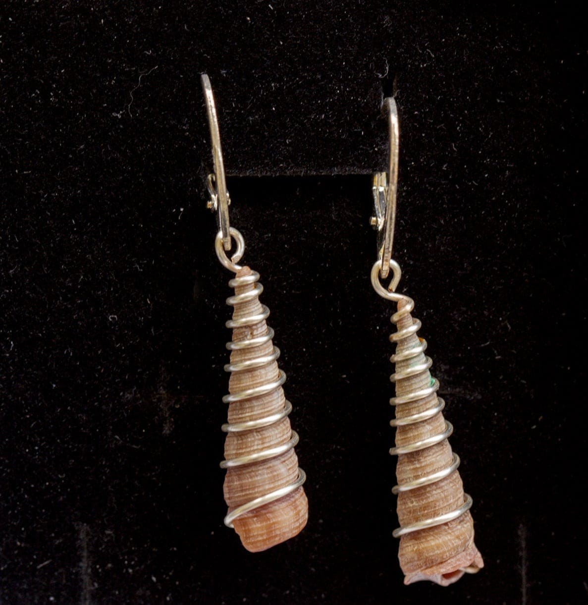 Planted By the Waters Earrings - Corkscrew Shell Earrings